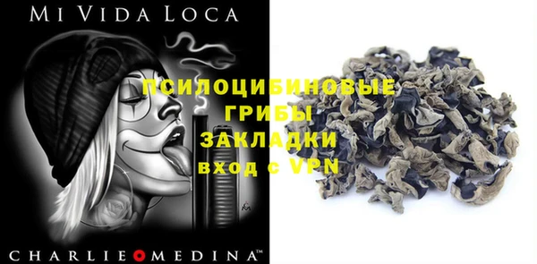 таблы Гусев