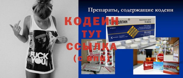 таблы Гусев