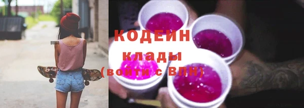 таблы Гусев