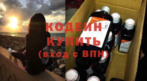 таблы Гусев