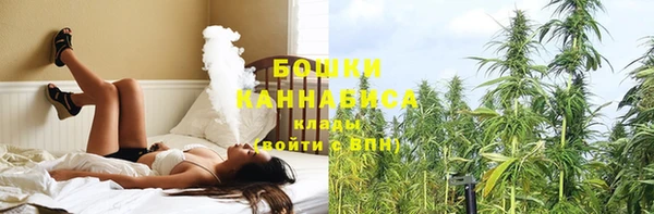 таблы Гусев