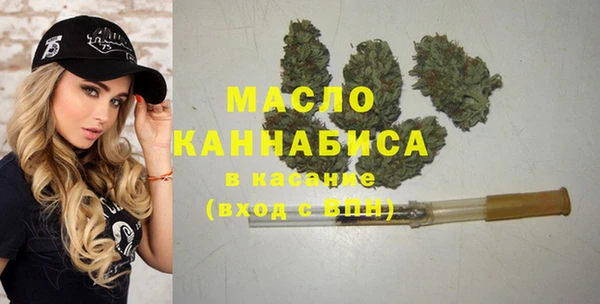 таблы Гусев