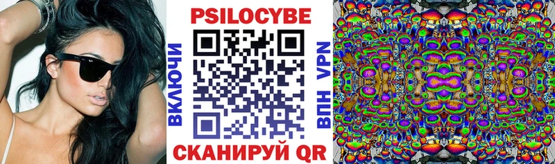 Галлюциногенные грибы Psilocybe  Купить закладки  Нижняя Салда 